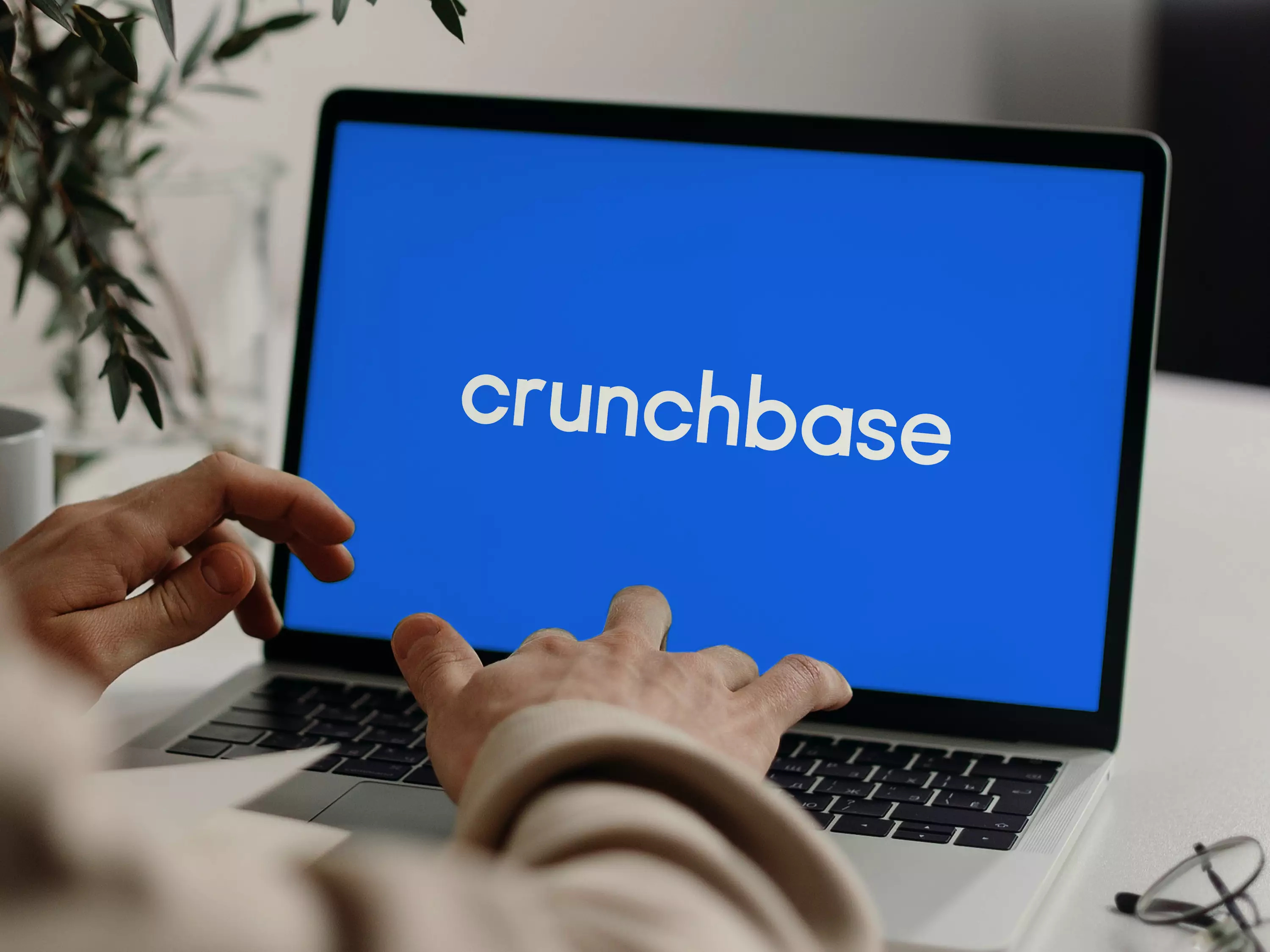 Crunchbase Data Breach: What Happened, Who’s Affected, and What to Do