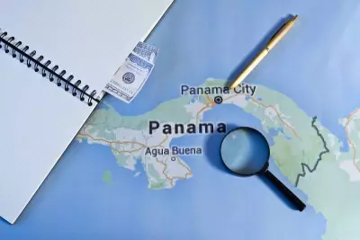 What are the Panama Papers?
