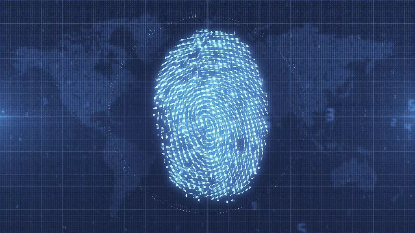 Ultimate Guide to Report Identity Theft: Key Steps for Protection