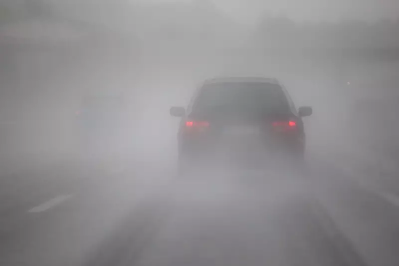 Not Driving Alone in Fog