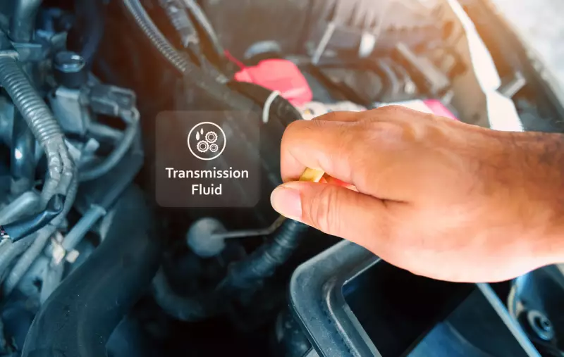 How and When to Change Transmission Fluid