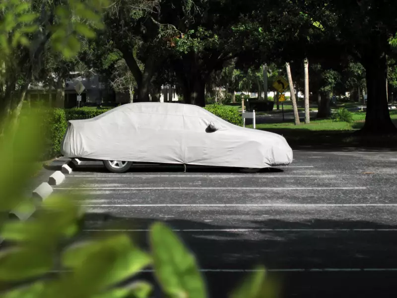 How to Remove Bird Poop Stains from Car Body?