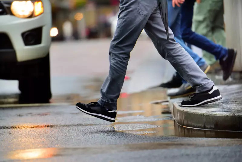 What Makes the Pedestrian At Fault