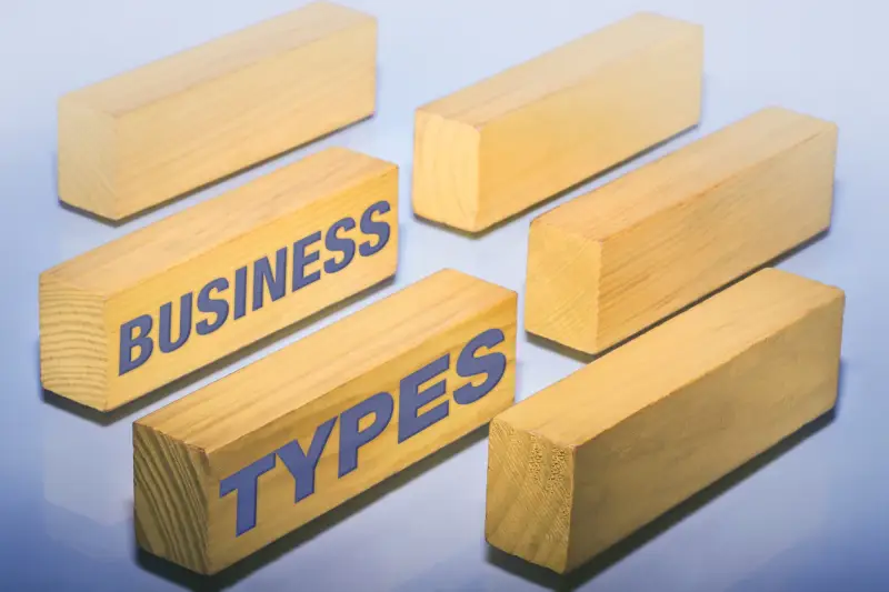 The Main Business Structures