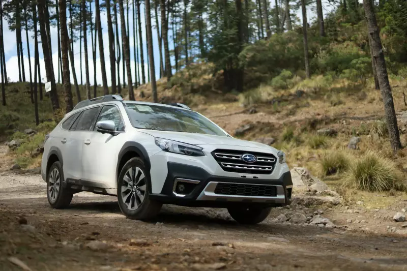 Used Subaru Outback to Insure