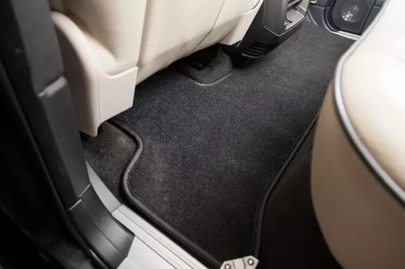 cleaning and protecting car carpet