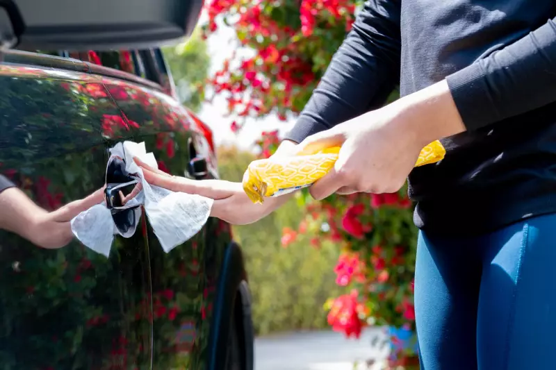 remove bird poop from car